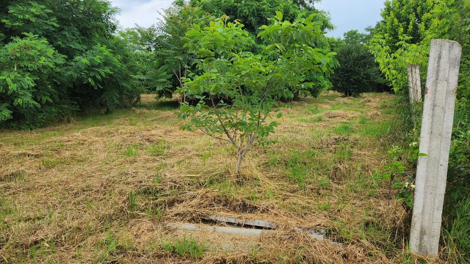 Teren intravilan 926 mp-semicentral - Poză 2