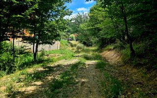Teren intravilan 9500 mp - Poză 1