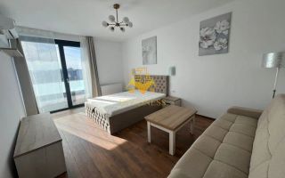 O camera decomandate,Parcare,Park lake,Iulius Mall, FSEGA,Intre lacuri - Poză 2