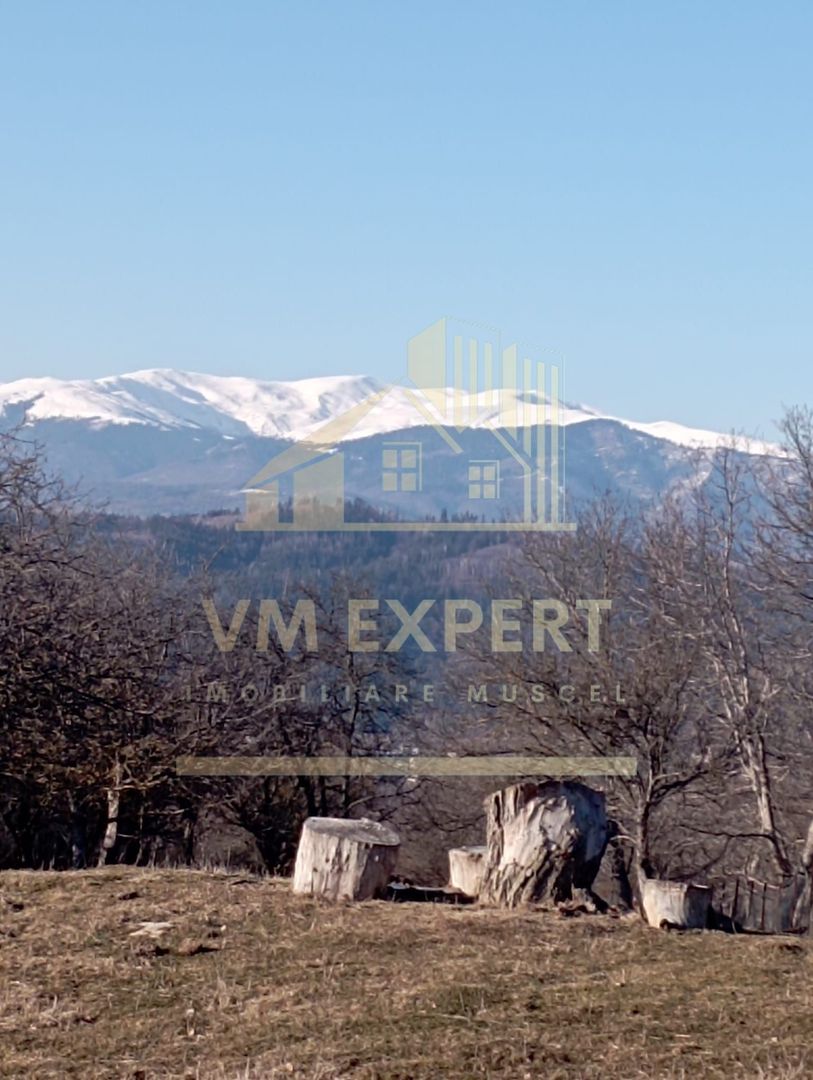 CASA 4 CAMERE TEREN 2500 MP CAMPULUNG - Poză 15