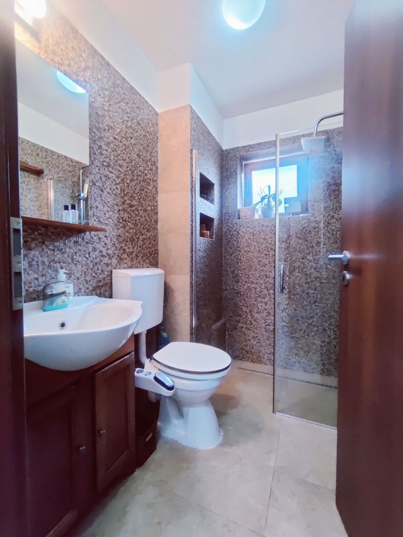 CASA  INDIVIDUALA SACALAZ 135 MP CU 476 MP TEREN - Poză 5
