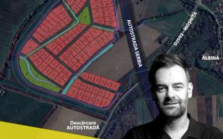 Teren Parcele Industriale Mosnita Noua - Poză 2