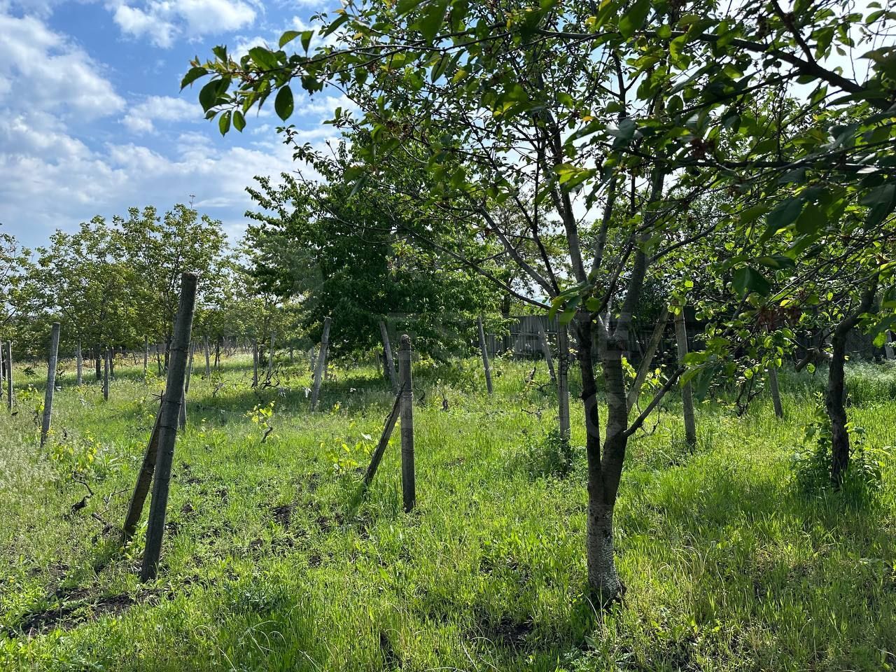 Vânzare, casă,115 mp + 18 ari, sat Corlăteni, Rîșcani - Poză 19