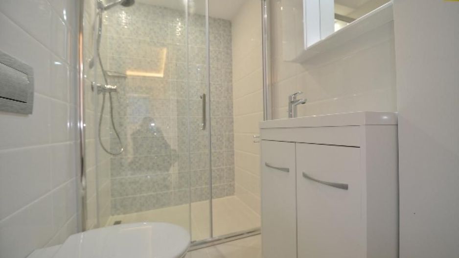 Ion Mihalache (1 Mai)- Ciuperca- Av Popisteanu- Expozitiei- Domenii - Poză 11