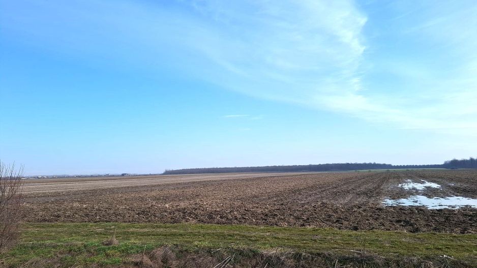 0% Comision - VanzareTeren Petresti Dambovita - Investitie - Poză 4