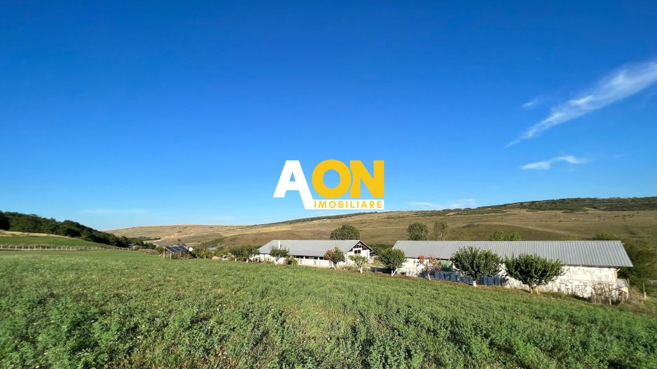 Ferma de vanzare cu 550MP utili si 27.500MP teren la asfalt - Poză 30