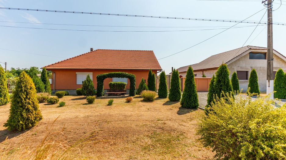 Casă spațioasă la sol în Macea - Poză 3