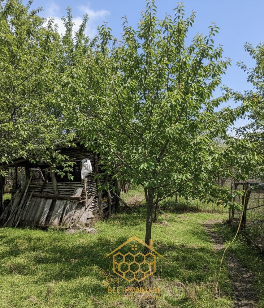 Teren 1.451 mp INTRAVILAN in Podari – Toate utilitatile - Poză 9