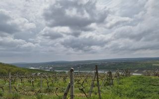 Vie Moldova - Poză 2