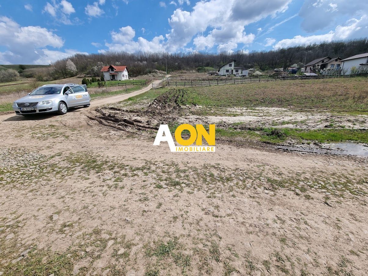 Teren 600mp Ciugud, Strada Iluminata Public - Poză 2