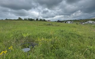 Teren intravilan Dealul Lavandei din Beldiceanu spre Săldăbagiu - Poză 4