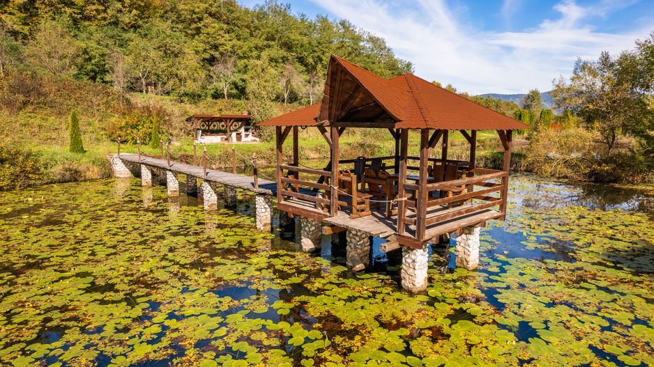 Domeniu în satul Căprioara - Poză 3