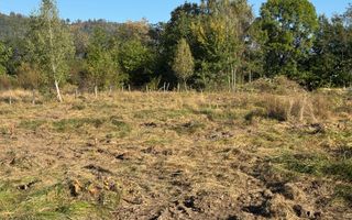 TEREN INTRAVILAN, CAMPULUNG,  2691 MP - Poză 25