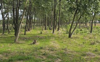 Teren intravilan construibil peisaj de vis - Poză 6