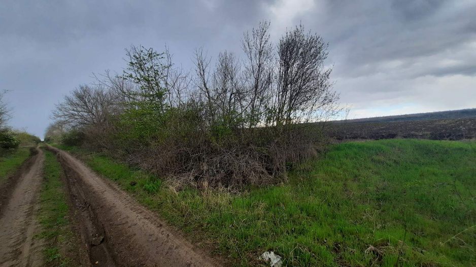 Teren agricol, Boșcana, 20 ari - Poză 1