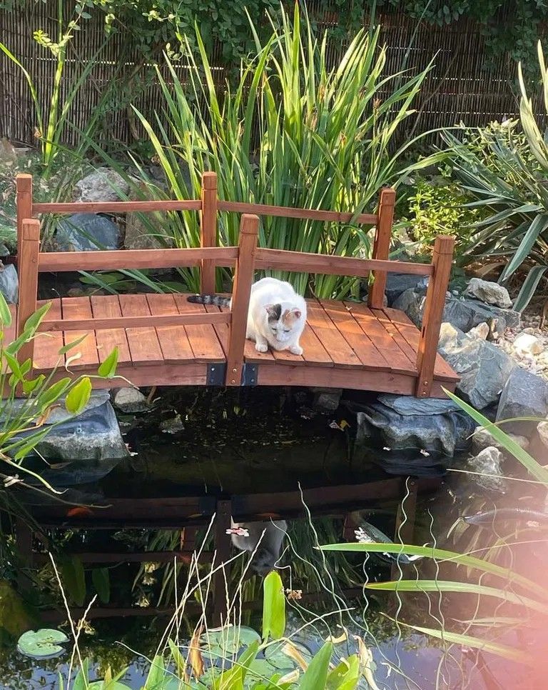 Vila vanzare| Balotesti| duplex P+1 deosebit |complet renovata in 2025 - Poză 11