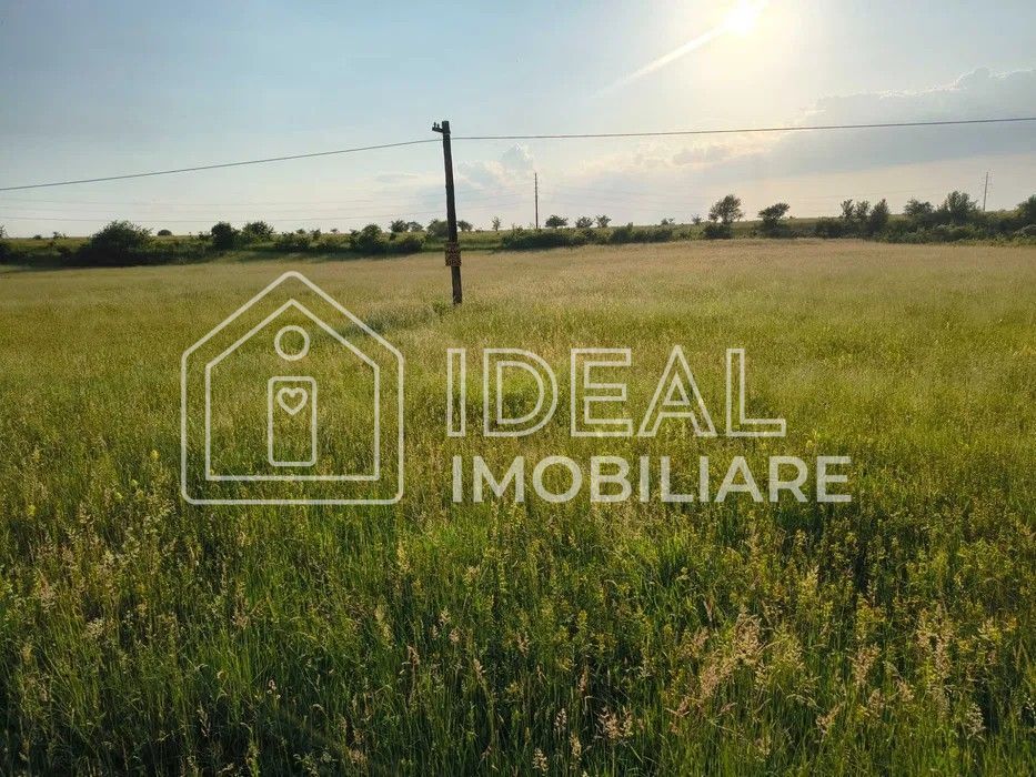 Teren extravilan de vânzare | Cârțișoara | 1800 mp - Poză 3