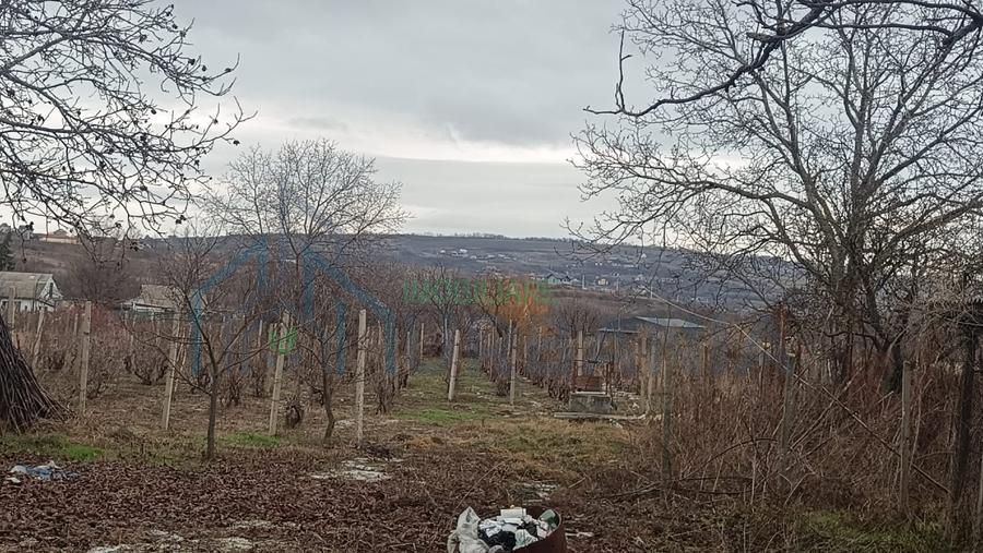 Casă bătrânească cu teren în centrul satului Goruni, comuna Tomești, județul Iași - Poză 3