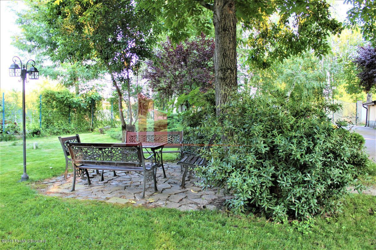 Vila impresionanta in Buftea - Poză 18