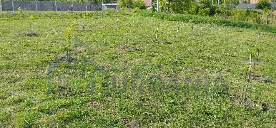 Teren intravilsn strunga - Poză 5