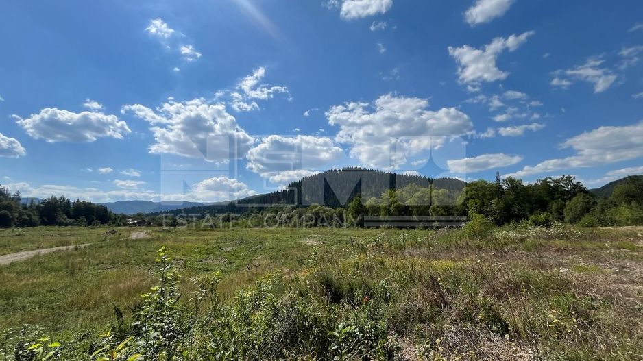TEREN INTRAVILAN 2,26 HA | SUCEVITA | - Poză 5