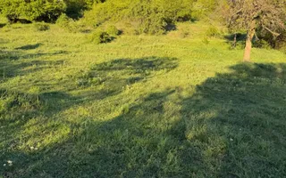 ⭐  Teren de 2.700 mp cu front generos – Ocazie în Oncea - Poză 21