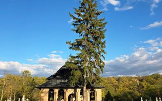 Reședință exclusivistă cu deschidere la Lacul Scroviștea - Poză 19