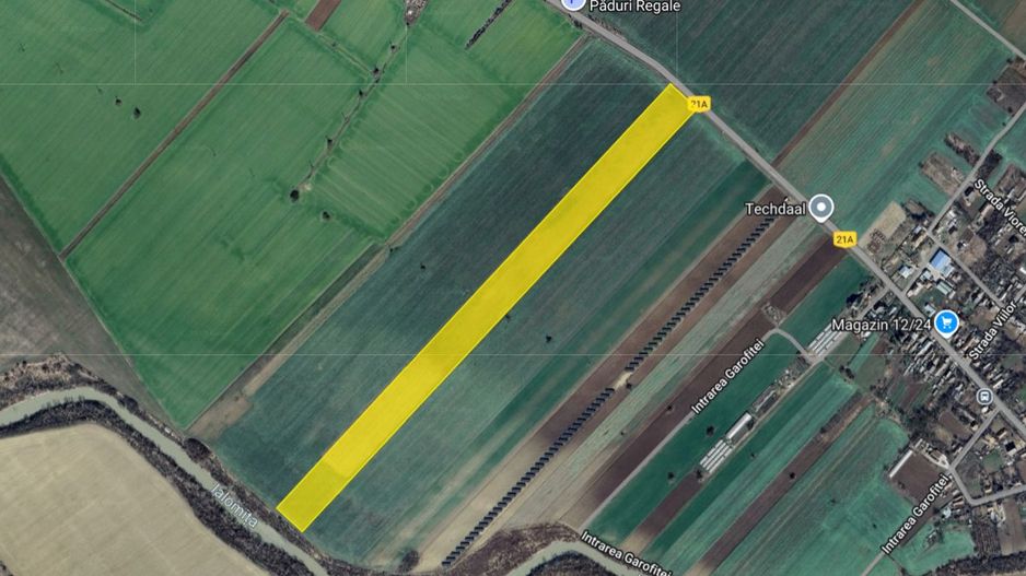 Teren extravilan localitatea Nuci, Ilfov - Poză 3