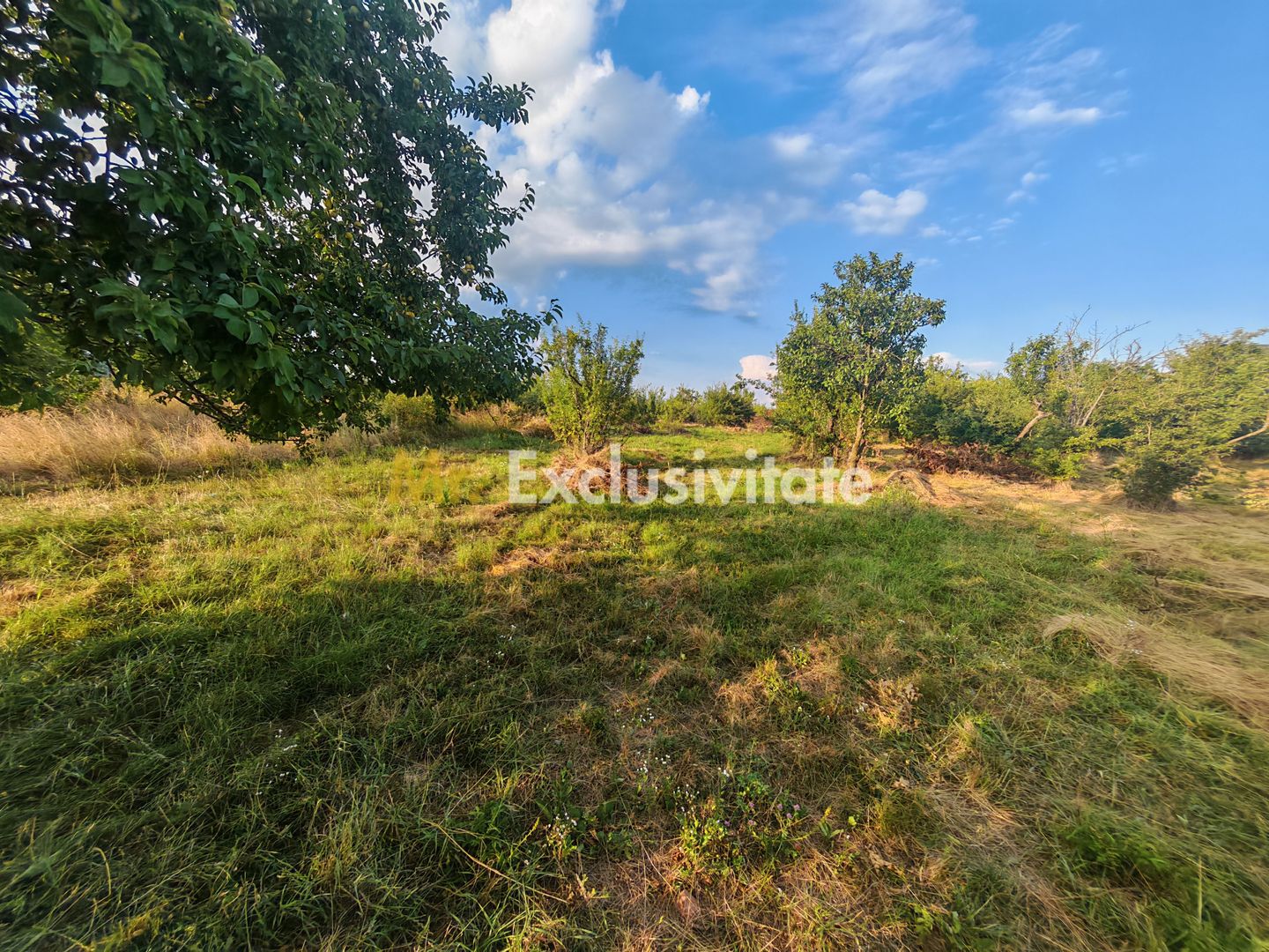 Teren intravilan 1.600 mp Mioveni – Zona Pruni - Poză 7