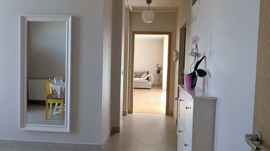 Penthouse, 100 mp utili, 50 mp terase - Poză 1
