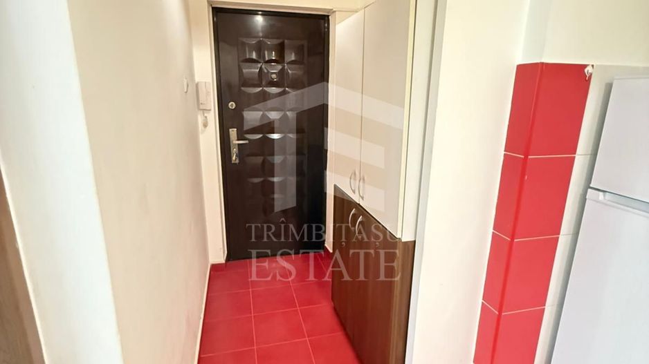 Apartament 2 Camere Teiul Doamnei Lacul Tei - Poză 10