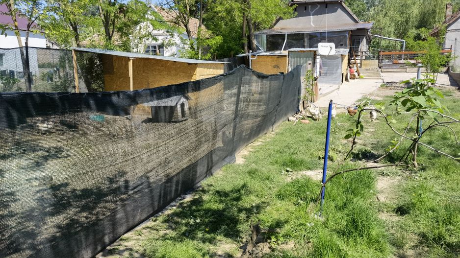 Casa Periam Port - Poză 15