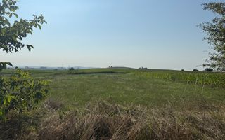 Teren extravilan | Rădăuți | 600 m de centură | 20 m front - Poză 4