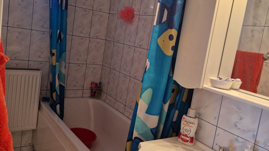 Apartament confort 1 Central - Bd Garii,decomandat,disponibil imediat. - Poză 7