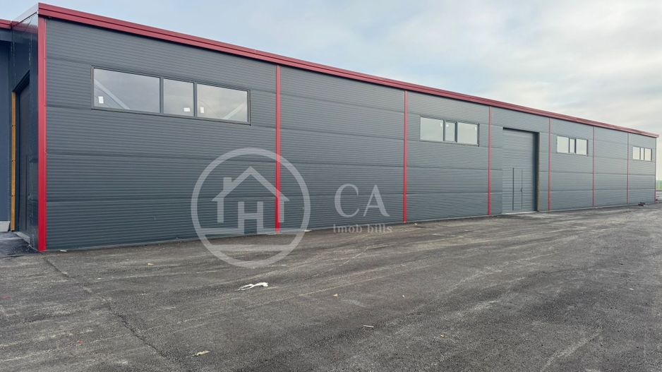 Hala de inchiriat, situata la intrare in Livada, Bihor - Poză 2