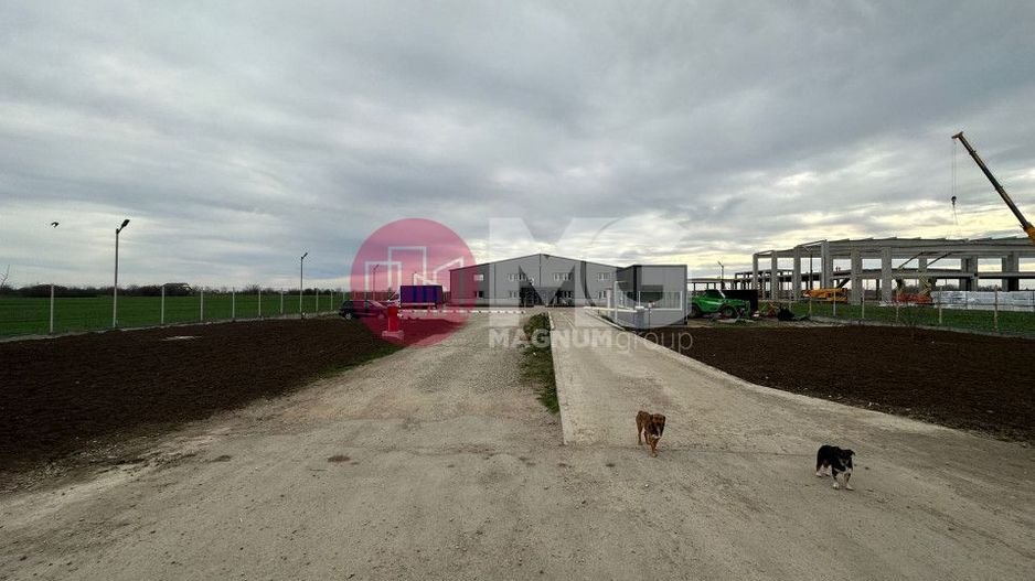 Fabrica de reciclare mase plastice - Poză 4