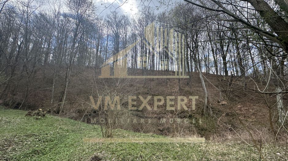 TEREN INTRAVILAN 4365 MP POENARII DE MUȘCEL  JUDEȚUL ARGES - Poză 22