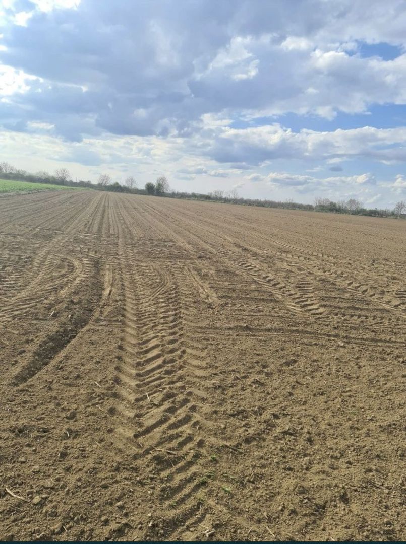 Vand teren extravilan in Martinesti - Poză 2