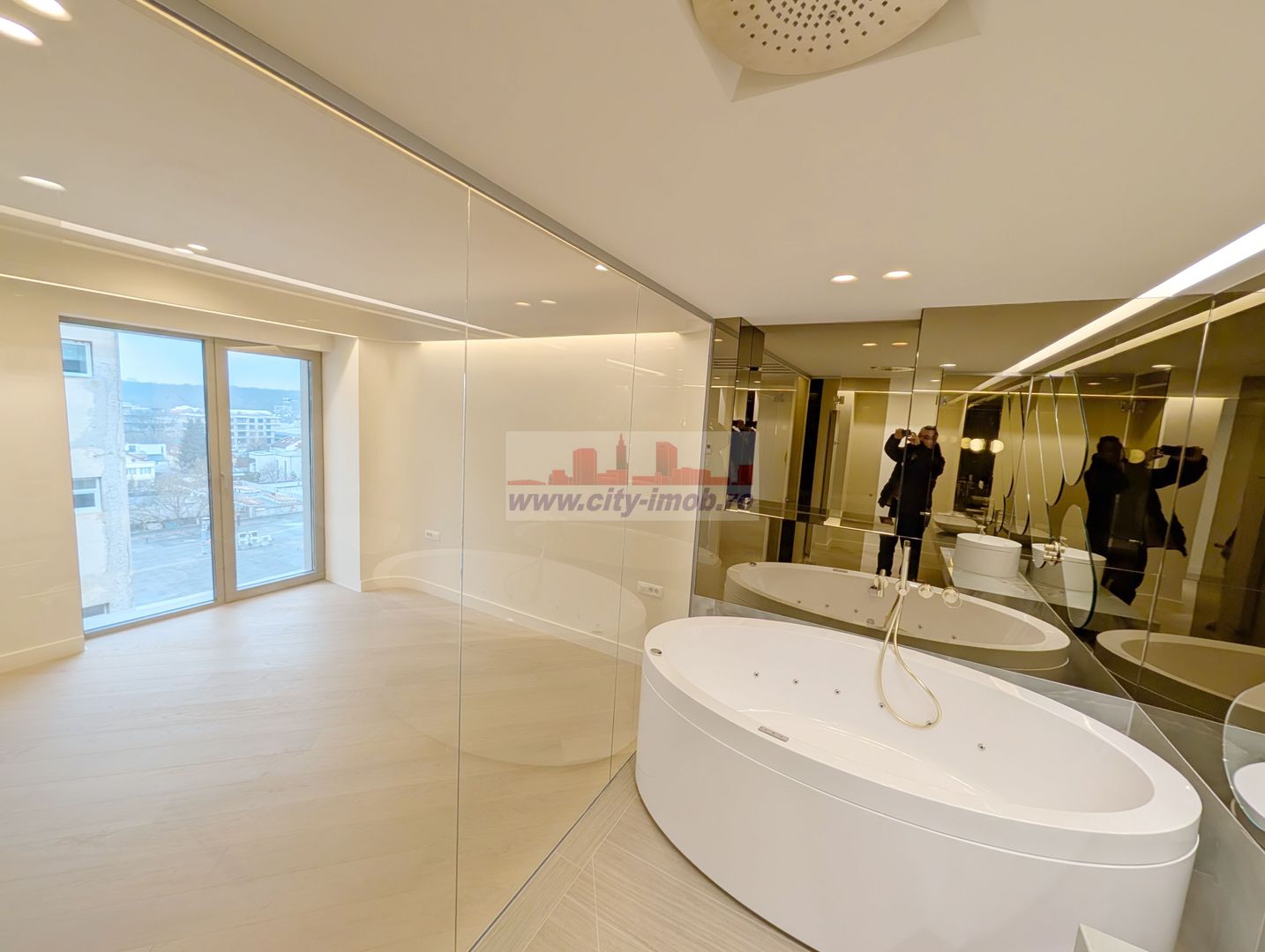 Innhiriere Penthouse Iancu Nicolae Gradina Zoologica - Poză 6