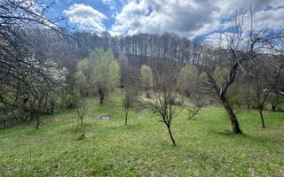 TEREN INTRAVILAN 4365 MP POENARII DE MUȘCEL  JUDEȚUL ARGES - Poză 15