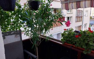 Apartament 3 camere cu garaj autorizat și beci - Poză 8