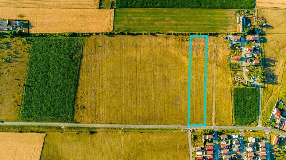 Teren de 1.3ha situat în Livada - Poză 3