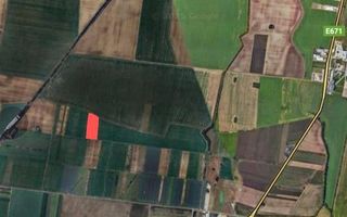 Teren extravilan 8600m agricol Oradea/Nojorid - Poză 1