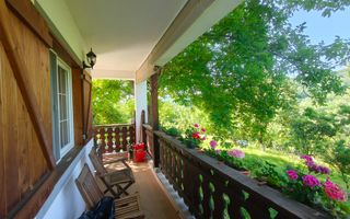 Casa cu teren generos 2919 mp/ Sat Andreesti / Comuna Mueresca - Poză 6