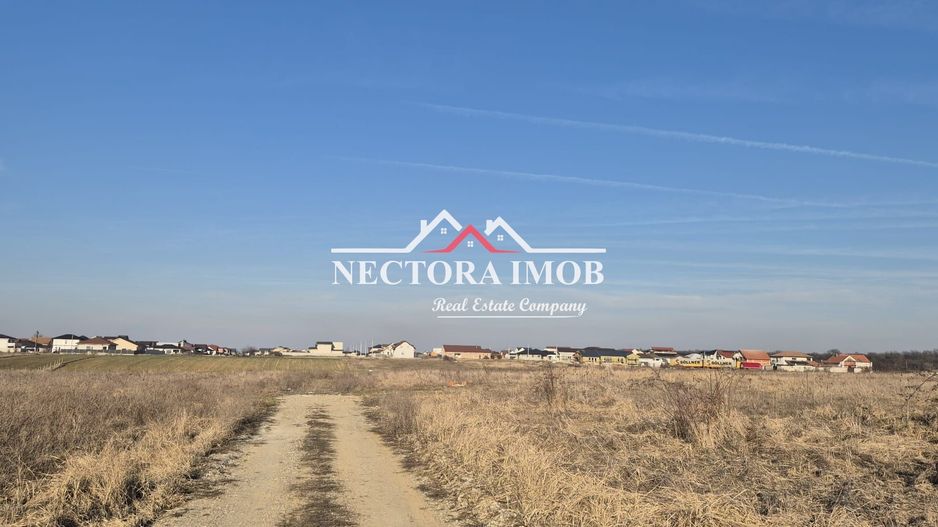 NECTORA IMOB Exclusivitate - Teren Intravilan, 507 mp, Zona CIHEI - Poză 6
