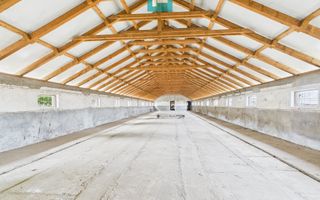 Hală pentru producție / fermă zootehnică  - Variaș - Poză 8