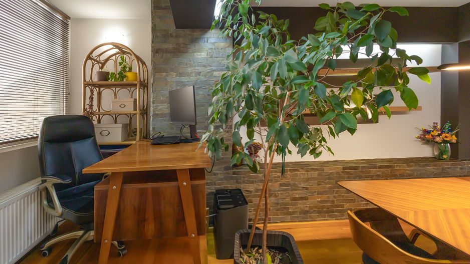 Apartament doua niveluri | 139 mp si terasa | 4 camere | Dorobantilor - Poză 4