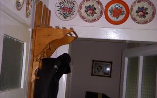 BRASADAS vinde casa singur in curte in zona semicentrala. - Poză 10