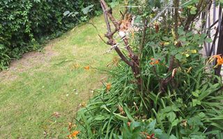 Casa cu 3 camere,posibilitate de mansardare Andrei Muresanu - Poză 1