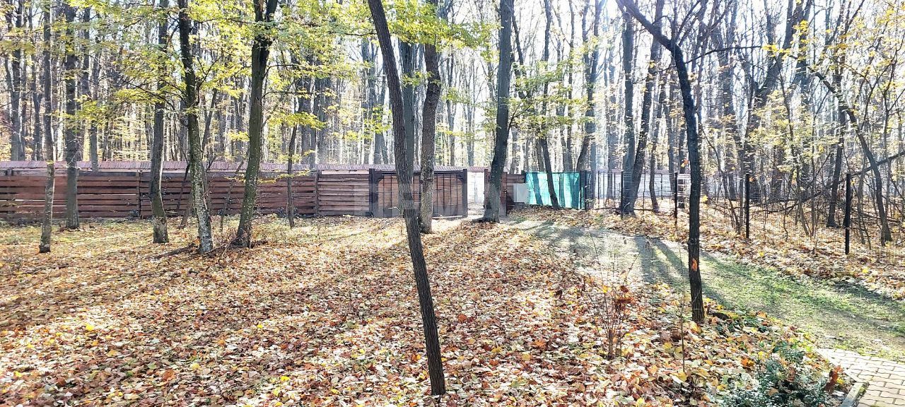 50 ari de Teren forestier si de recreere in Codri!! - Poză 5